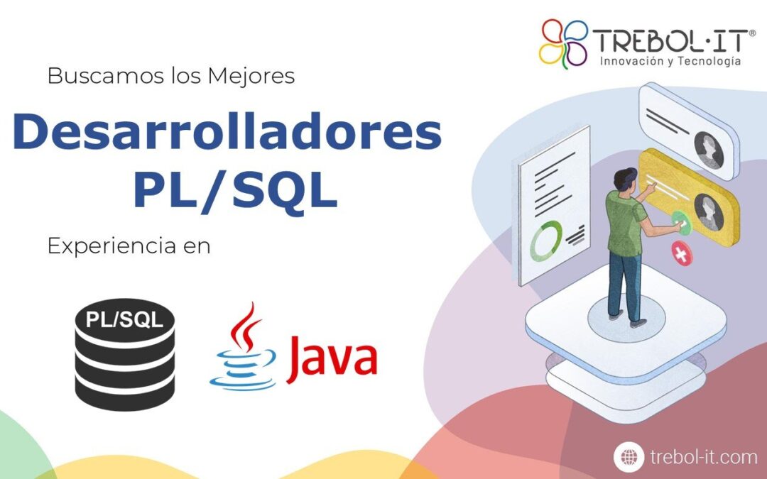 Desarrollador PLSQL